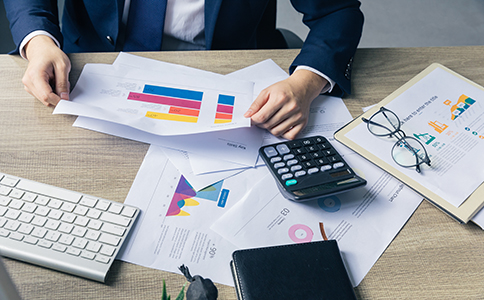 公司執(zhí)照注銷所需材料